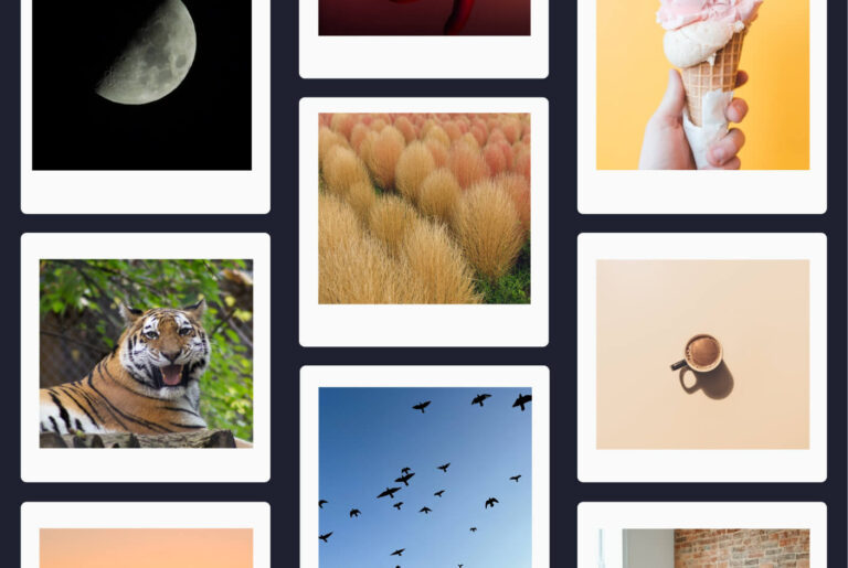How to Get Involved With the WordPress Photo Directory