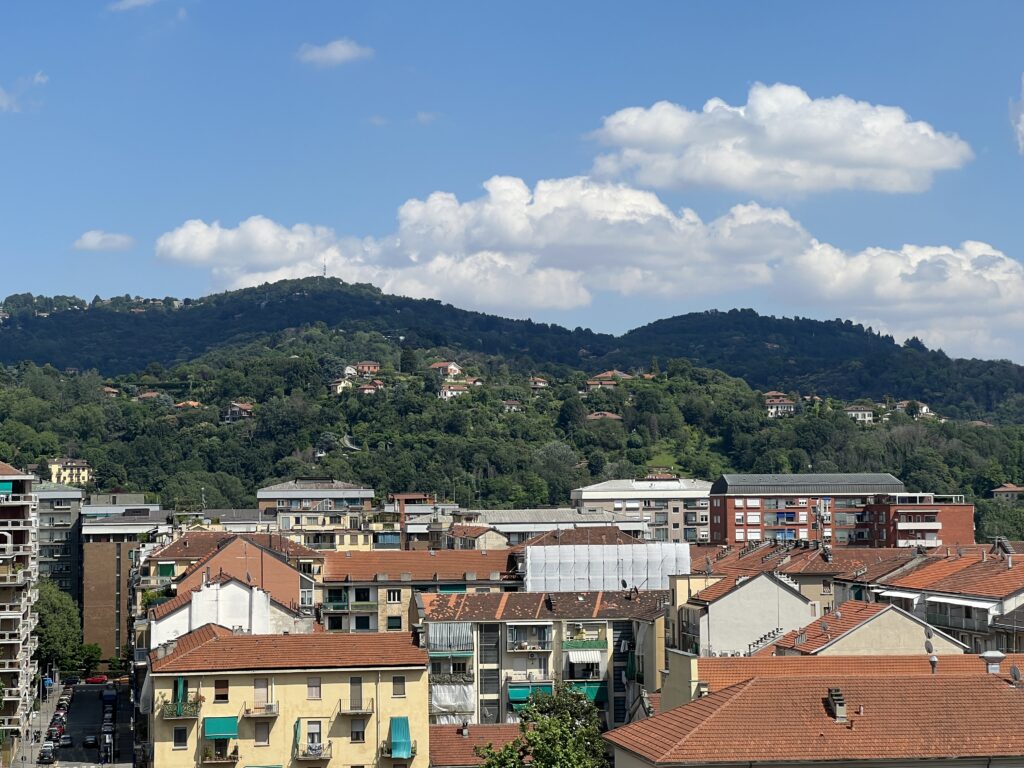 view of buildings in Torino with mountains in the background
