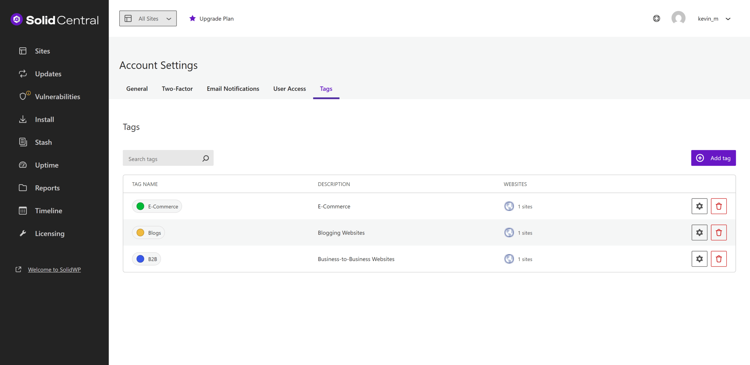 A screenshot of the SolidCentral dashboard showing the Account Settings page under the 'Tags' tab. It displays a list of tags including E-Commerce, Blogs, and B2B, each linked to one website. There are options to add, edit, or delete tags, with a search bar for tags at the top.