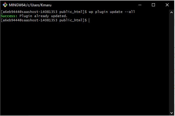 Command prompt showing a successful WordPress plugin update message using the command 'wp plugin update --all'. The output indicates that all plugins are already up to date.